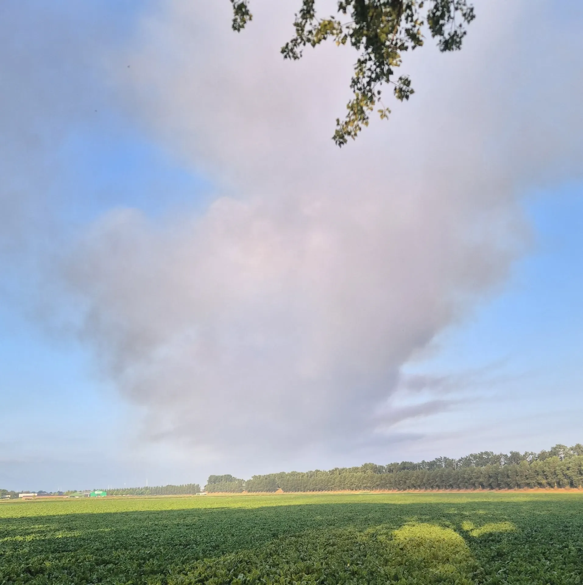 Zeer grote brand Lisserweg 11-07-26