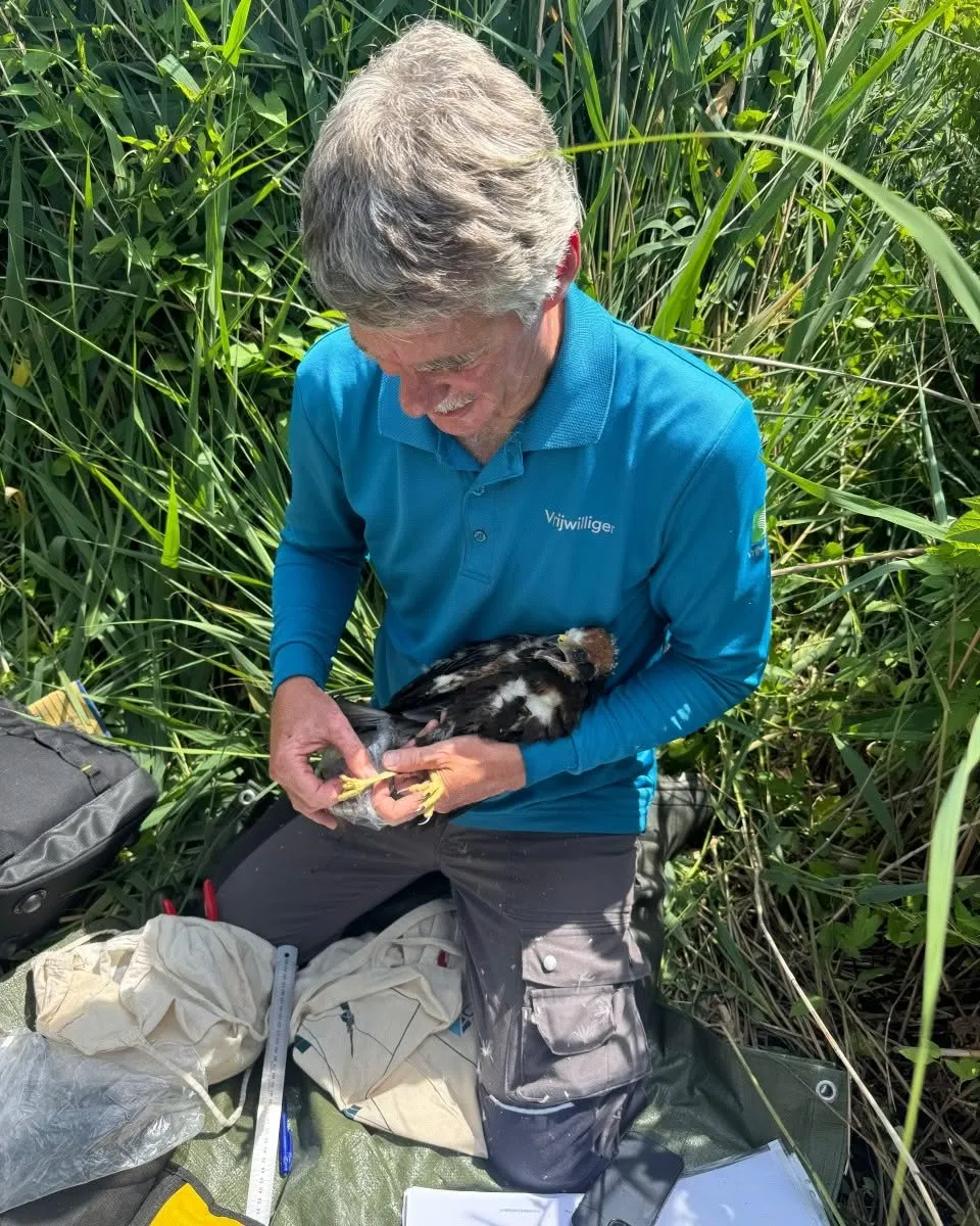 Op pad met de vogelbescherming