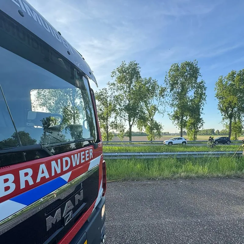 Bermbrand🌳🔥