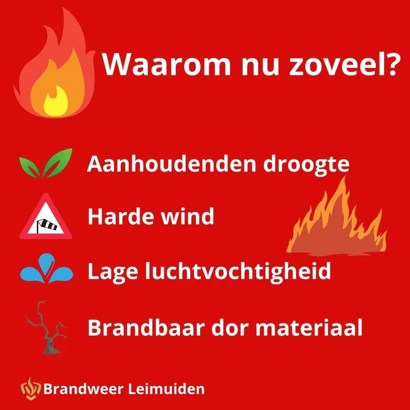 🚨 Natuurbranden nemen fors toe: 166 meldingen dit jaar, risico blijft hoog 🚨