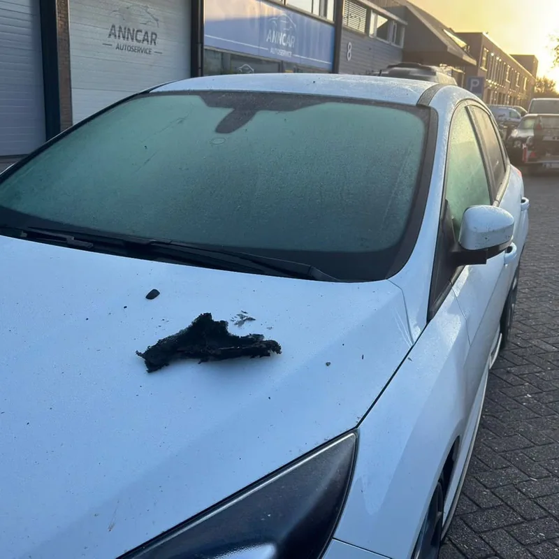 Zeer Grote Brand