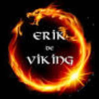 Erik de Viking