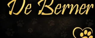Trimsalon de Berner